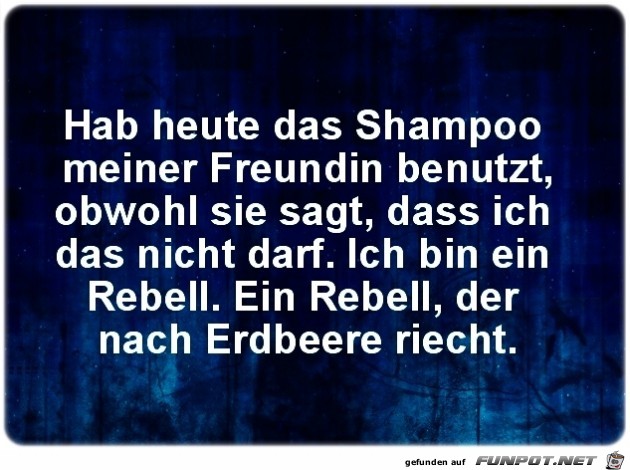 Shampoo