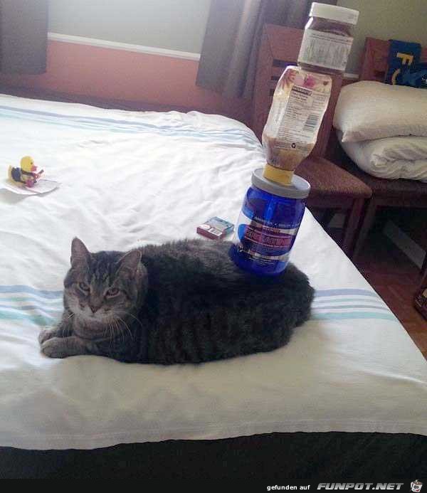Balance Balance