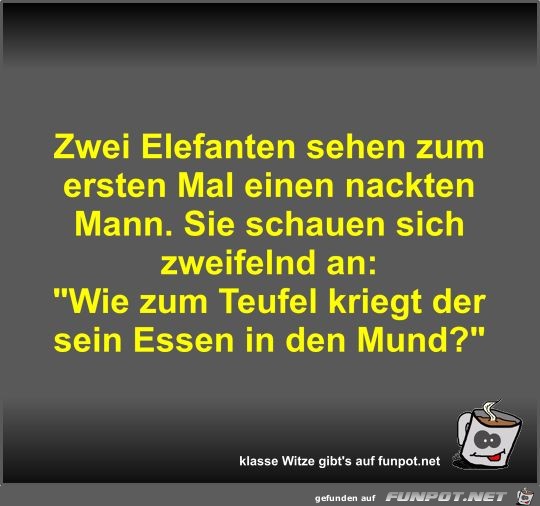 Zwei Elefanten sehen zum ersten Mal Zwei Elefanten sehen zum ersten Mal