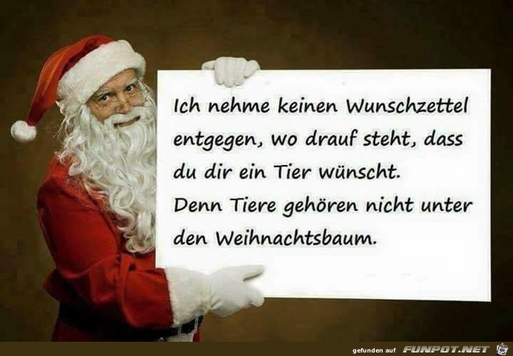 Keine Tiere unter dem Baum Keine Tiere unter dem Baum