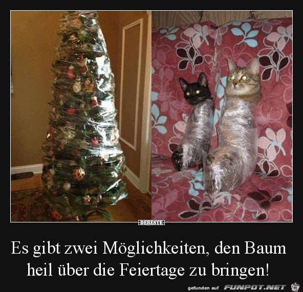 Zwei Möglichkeiten Zwei Möglichkeiten