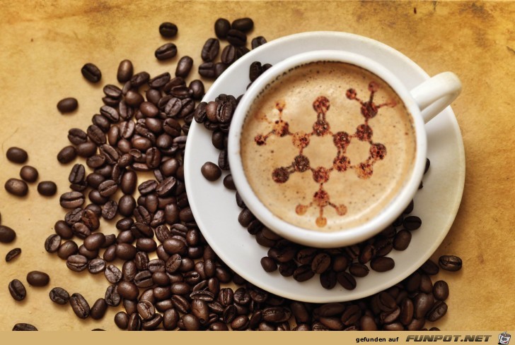 Cafe für den Physiker Cafe für den Physiker