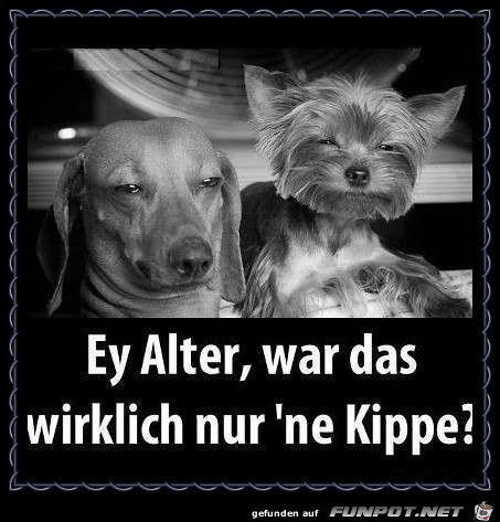 Ey Alter...