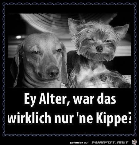 Ey Alter... Ey Alter...