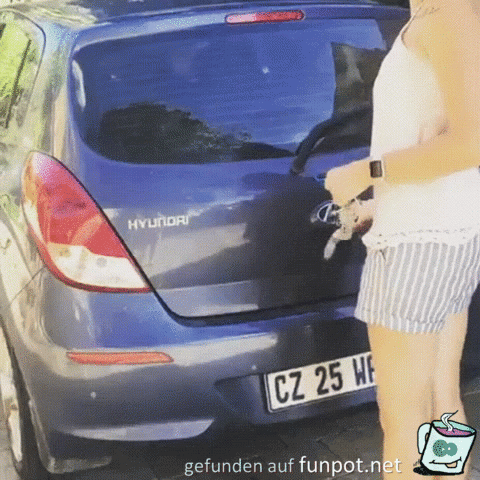 Ziemlich viele Hunde drin Ziemlich viele Hunde drin