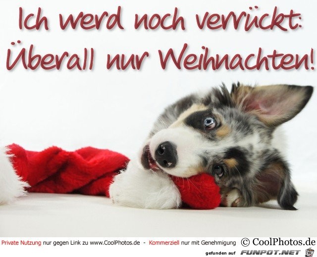 Werd verrueckt Werd verrueckt