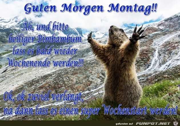 Montag Montag