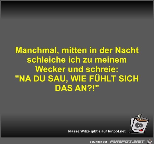 Manchmal, mitten in der Nacht schleiche ich zu meinem... Manchmal, mitten in der Nacht schleiche ich zu meinem...