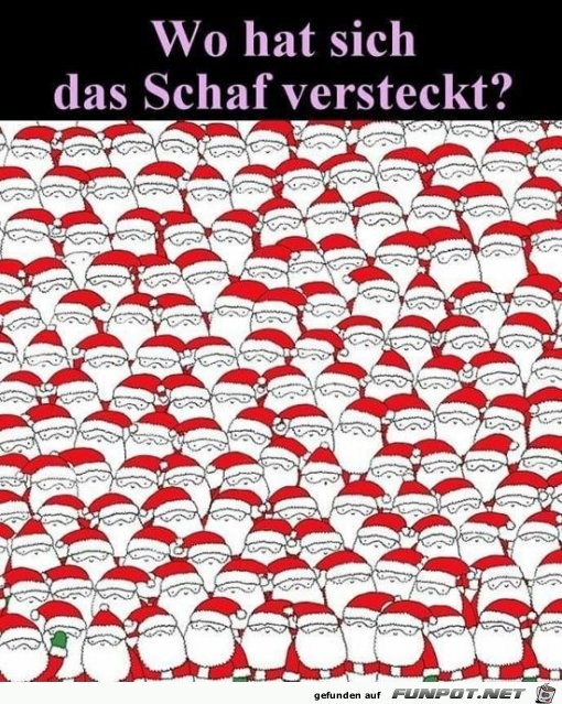 Wo ist das Schaf?