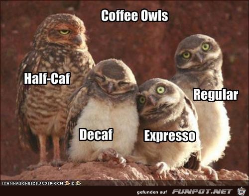 Die Kaffeeeulen Die Kaffeeeulen
