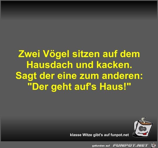 Zwei Vögel sitzen auf dem Hausdach und kacken Zwei Vögel sitzen auf dem Hausdach und kacken