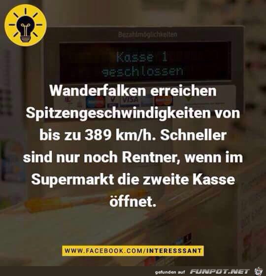 Schnelligkeit Schnelligkeit