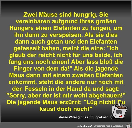 Zwei Mäuse sind hungrig Zwei Mäuse sind hungrig