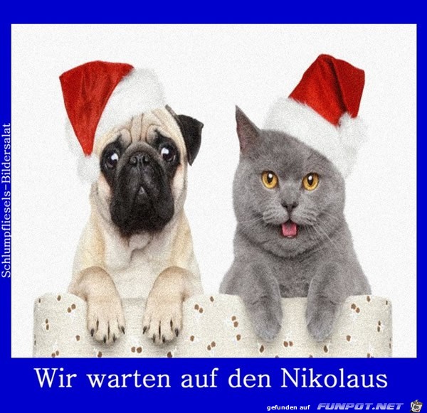 Warten auf den Nikolaus