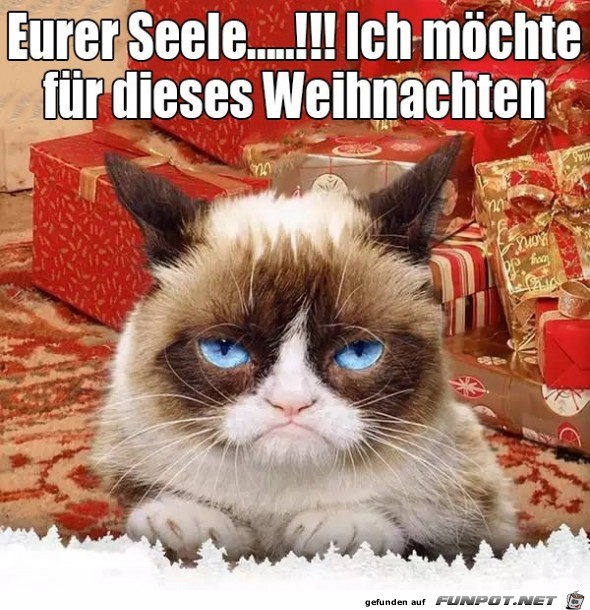 Eure Seele Eure Seele