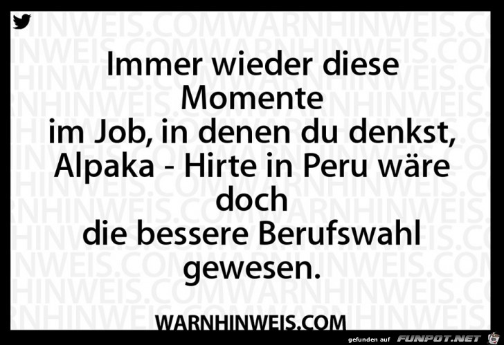 Berufswahl Berufswahl