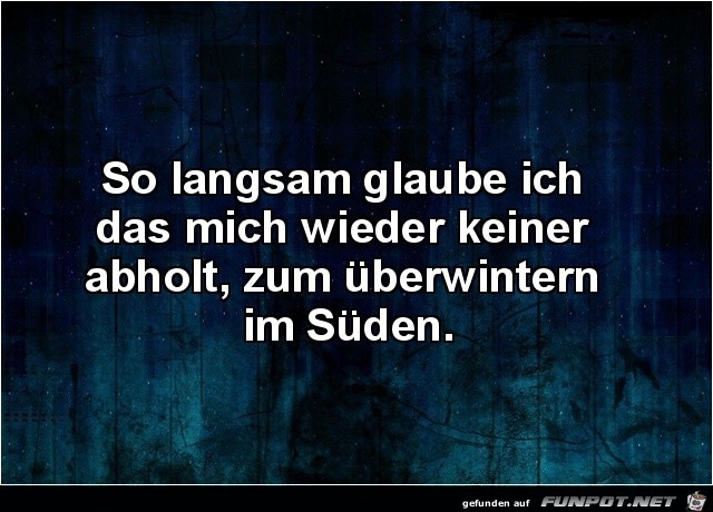 Sieht so aus Sieht so aus