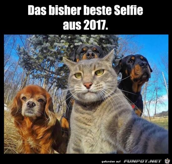 Super Selfie