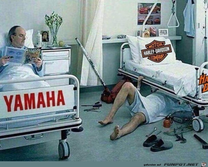 Yamaha vs. Harley Yamaha vs. Harley