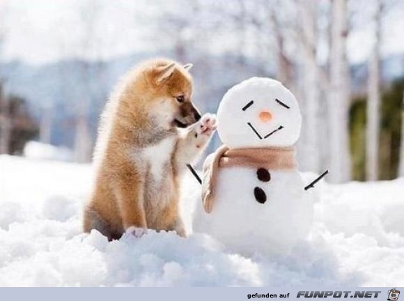 Hund und Schneemann
