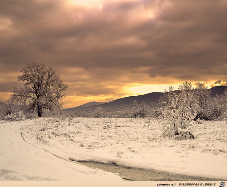 Winterlandschaft am Abend