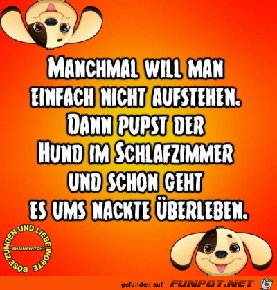 nicht aufstehen....... nicht aufstehen.......
