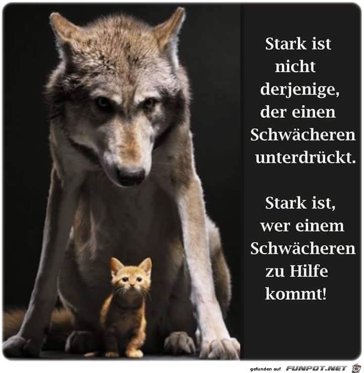 Stark ist nicht..