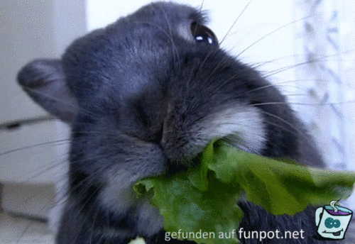 Leckäääääääää Leckäääääääää