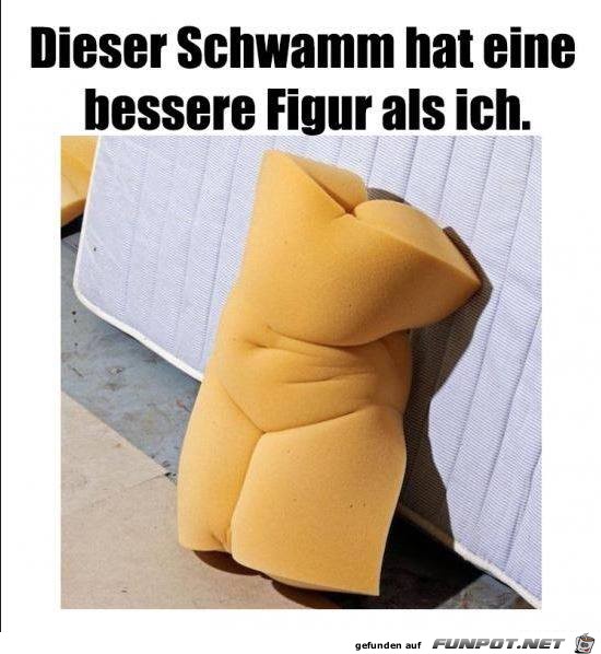 Dieser Schwamm