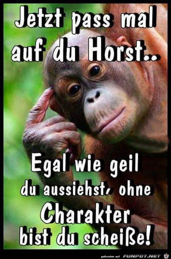 Jetzt pass mal auf Jetzt pass mal auf