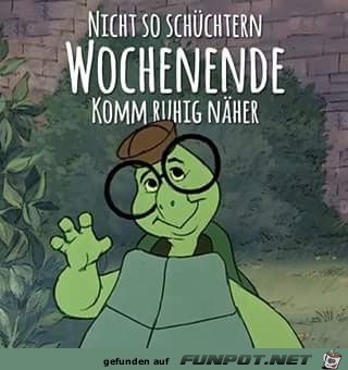 nicht so schüchtern ! nicht so schüchtern !