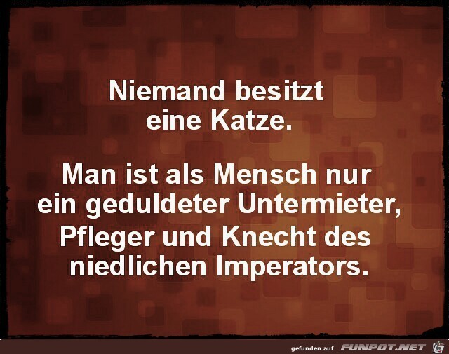 niemand besitzt eine Katze ! niemand besitzt eine Katze !