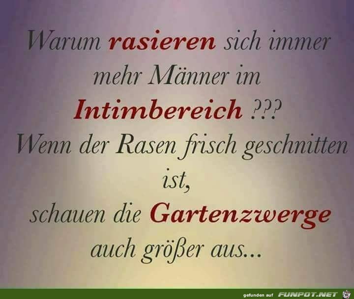warum ist das so ? warum ist das so ?