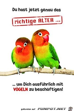 Das richtige Alter Das richtige Alter