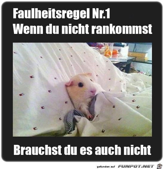 Faulheitsregel Faulheitsregel