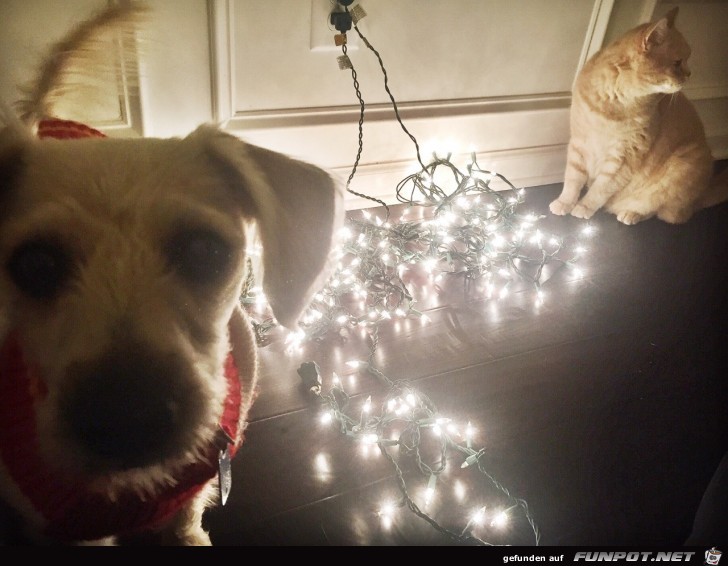 Weihnachten 009 Weihnachten 009