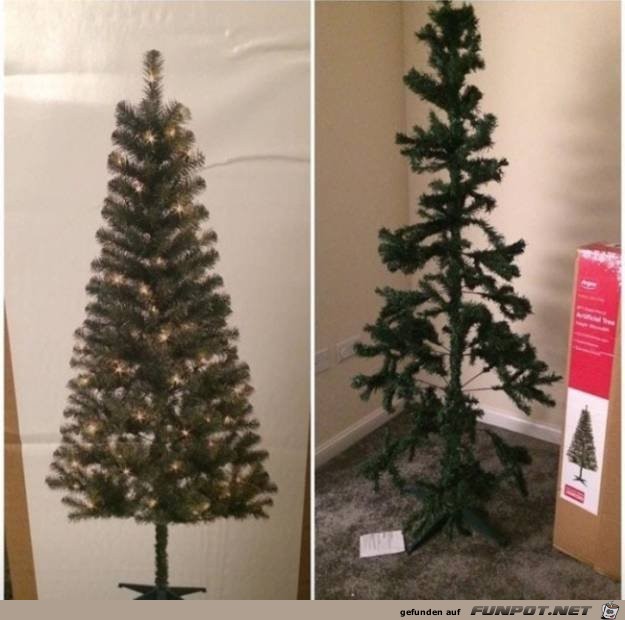 Erwartung vs. Realität Erwartung vs. Realität