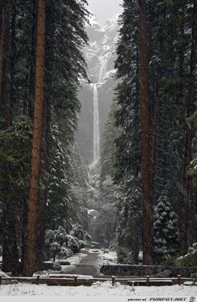 Winterwald mit Wasserfall