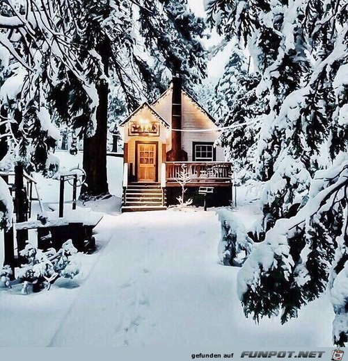 Winteridylle im tiefen Wald