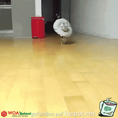 Wie elegant Wie elegant