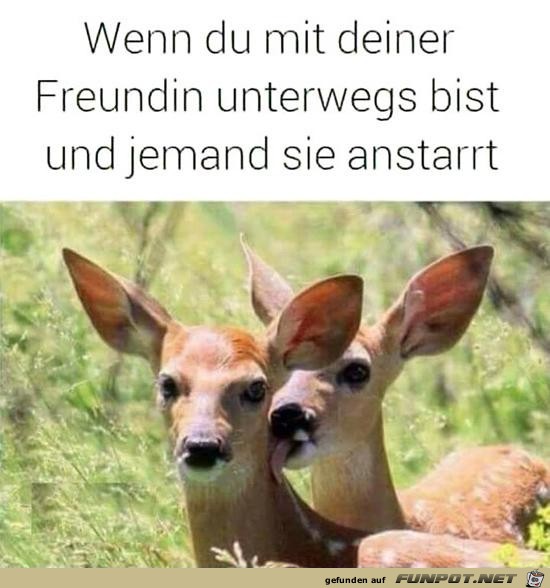 Deine Freundin Deine Freundin