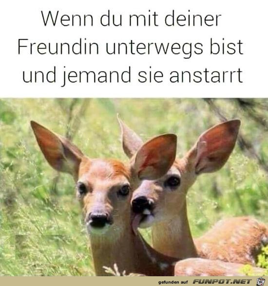 Deine Freundin