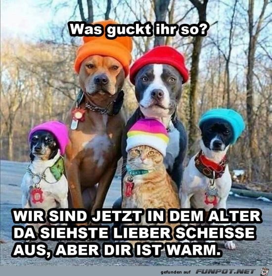 Guck nicht so blöd Guck nicht so blöd