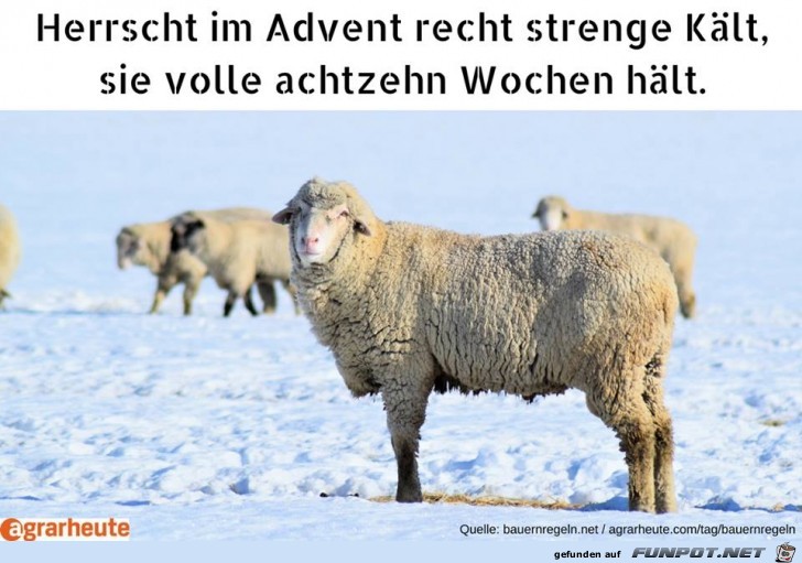 Bauernregel 10. Dezember Bauernregel 10. Dezember