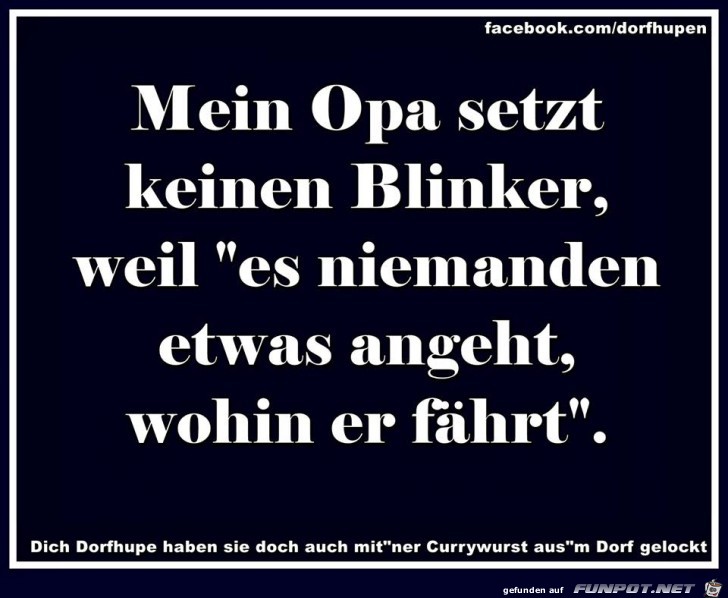 Blinker setzten Blinker setzten