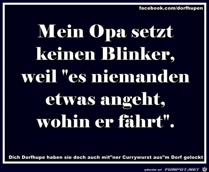 Blinker setzten