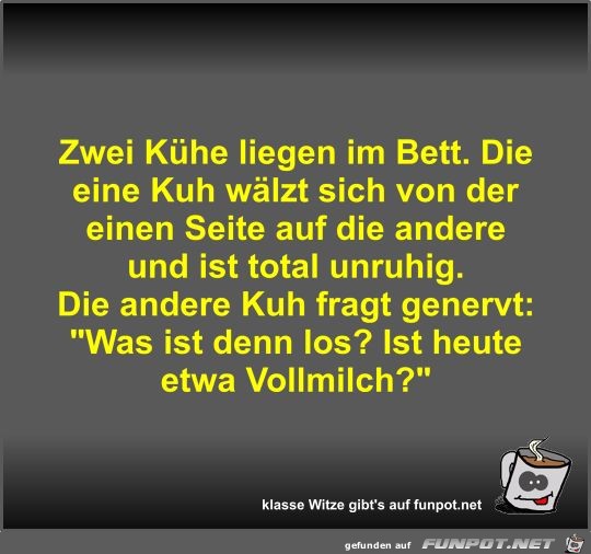Zwei Kühe liegen im Bett Zwei Kühe liegen im Bett