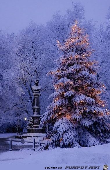 Park mit Weihnachtsbaum Park mit Weihnachtsbaum