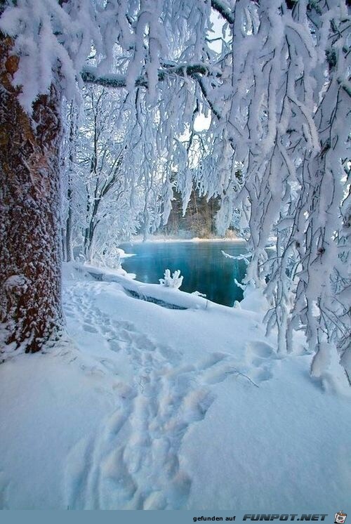 Winter am See