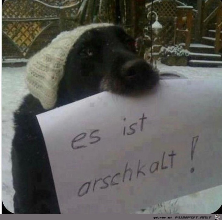 es ist arschkalt! es ist arschkalt!